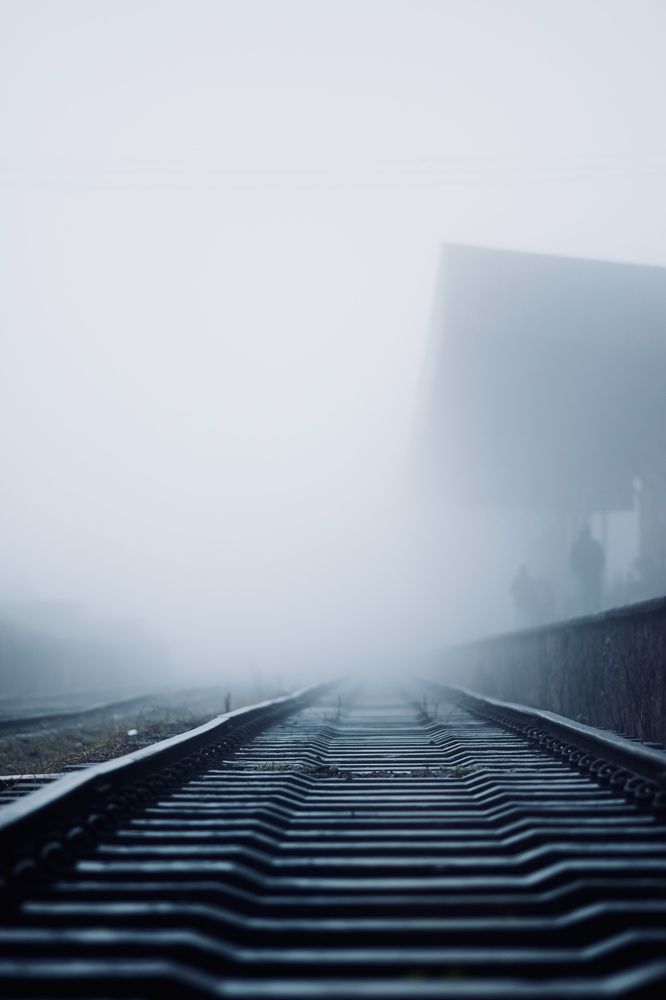 Photograph by masida paboth