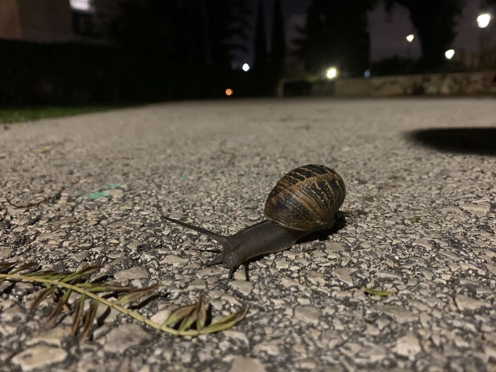 Photograph by Алексей Скорик