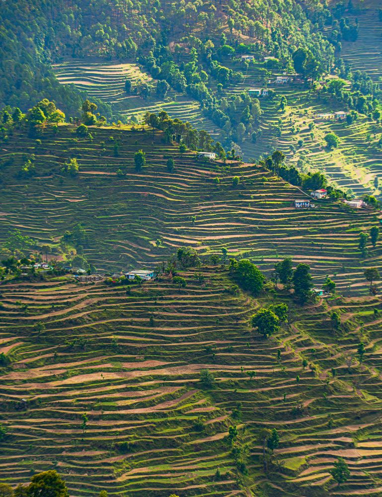 Фотография автора digvijay singh janoti