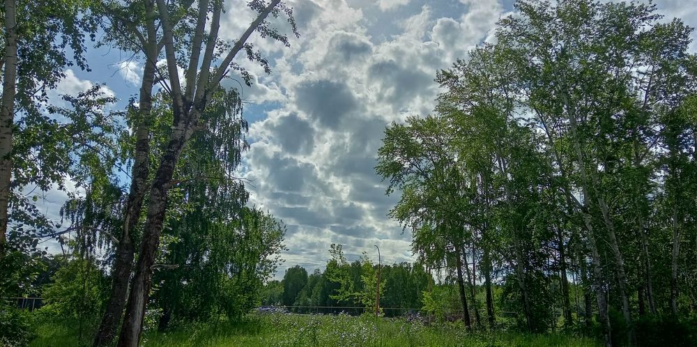 Photograph by Ольга Лагунова