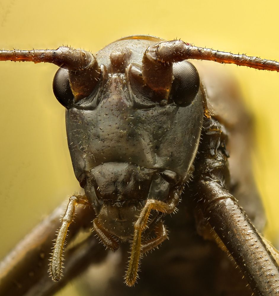 Photograph by Юрий Юрьевич