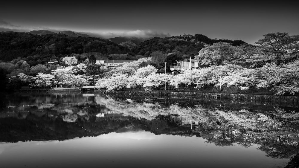 Фотография автора Fumi Taki