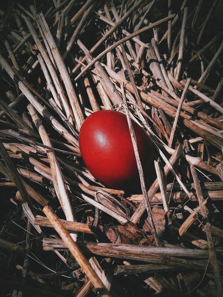 Photograph by Alena Hayeuskaya