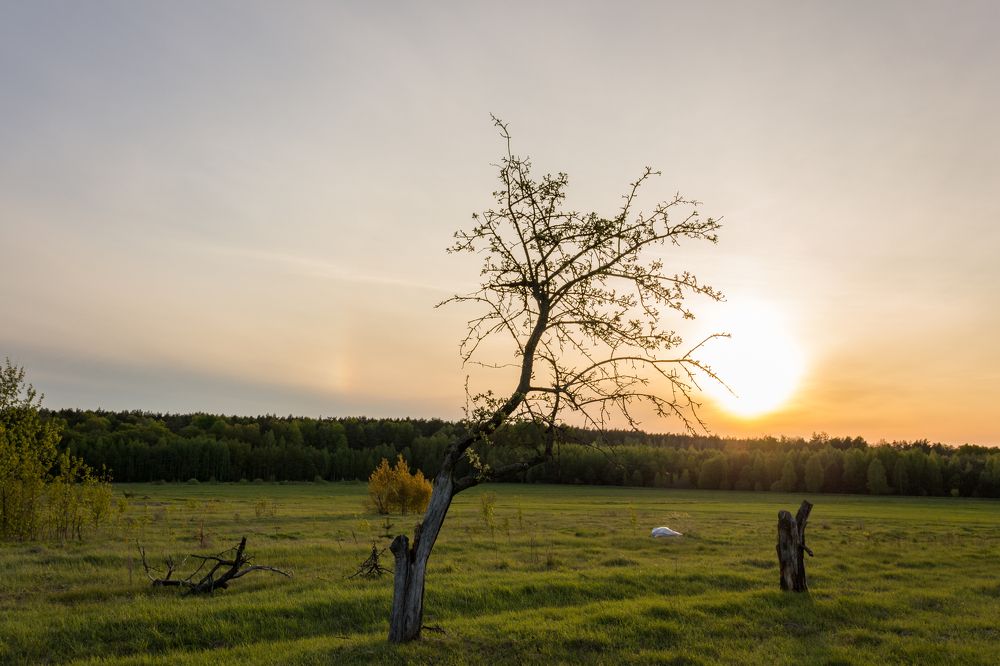 Фотография автора Roman Mishukov