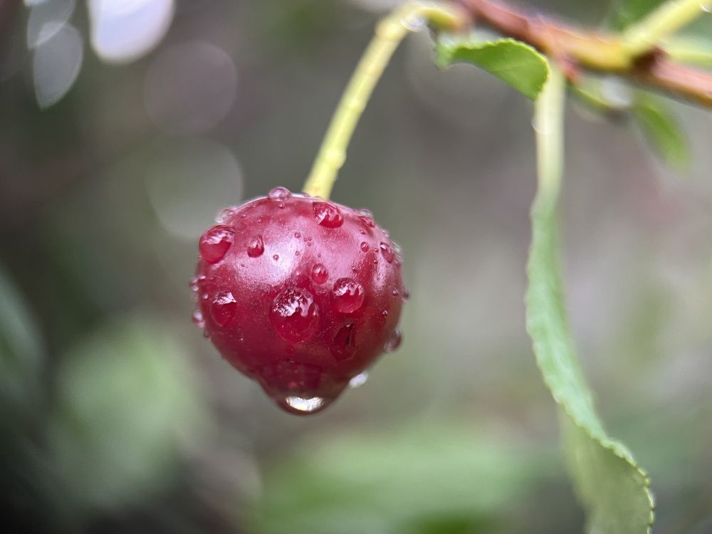 Photograph by Olga Filatova