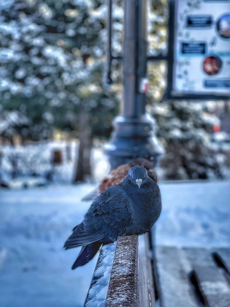 Фотография автора Анастасия Огурцова