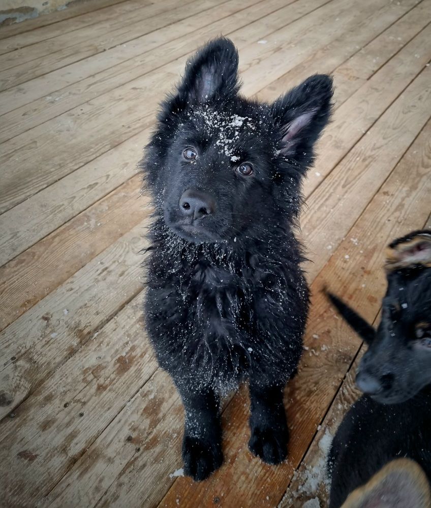 Photograph by Александр Крылов