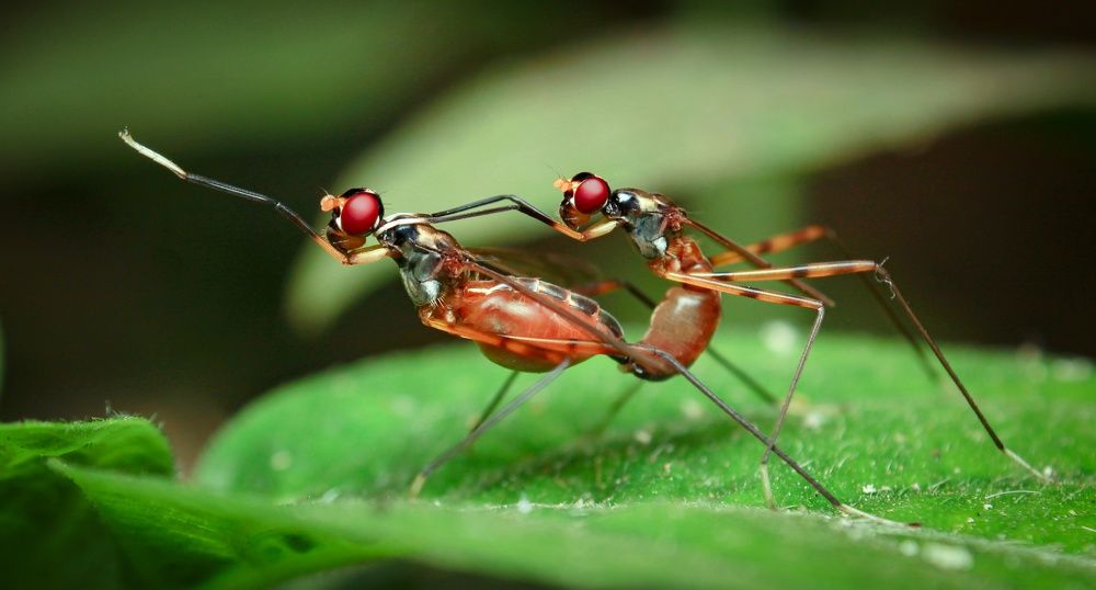 Photograph by Abhijit khatua