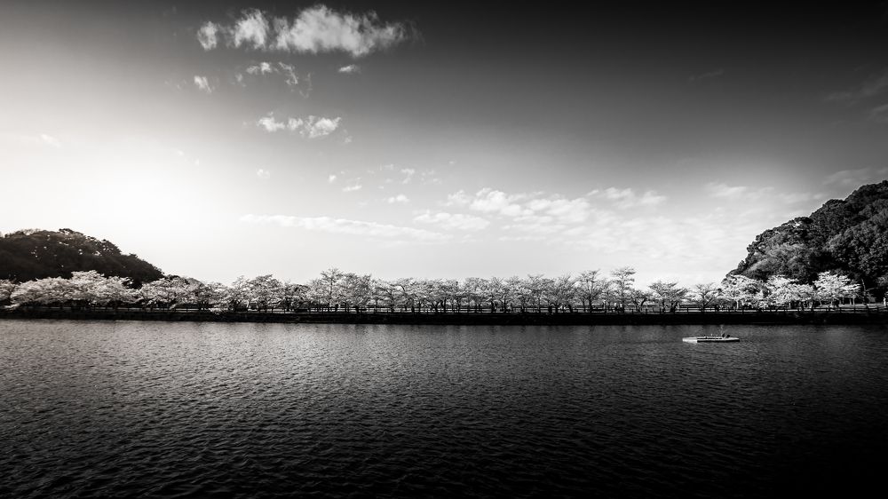 Фотография автора Fumi Taki