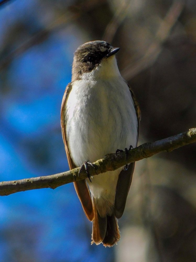 Photograph by Silja Grünberg