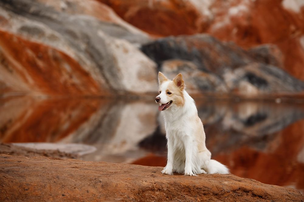 Photograph by Ольга Легенькая