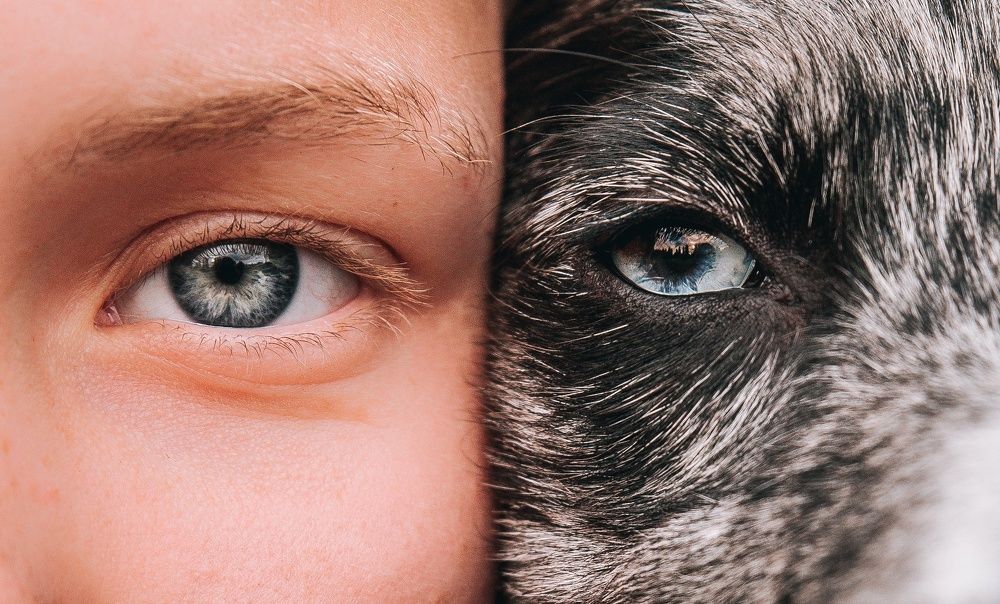 Photograph by Юлия Сухарева