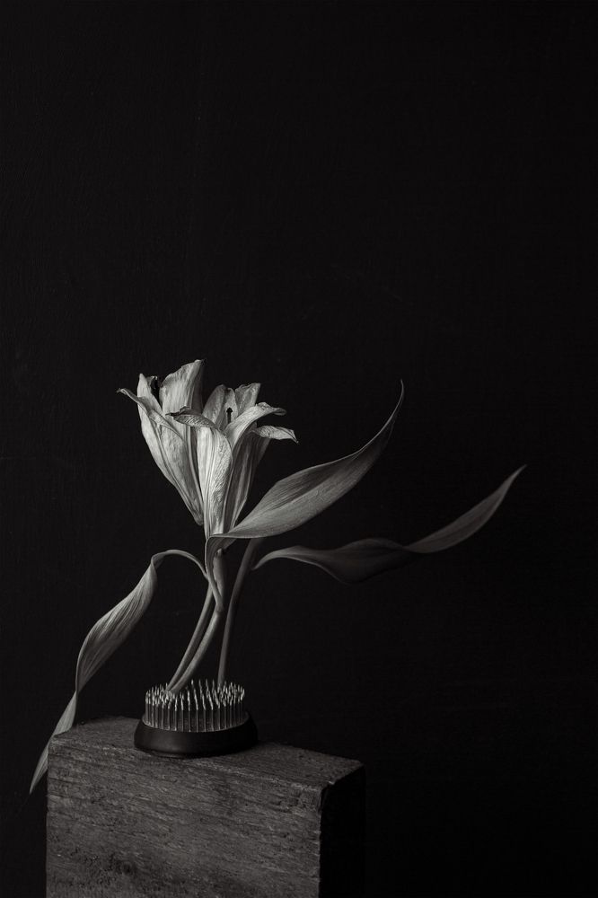 Фотография автора Julia Vikhrova