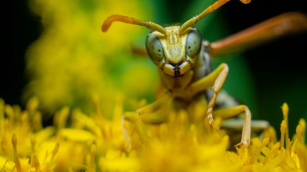 Photograph by Алексей Жариков