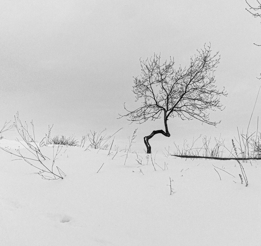 Photograph by юрий Запяткин