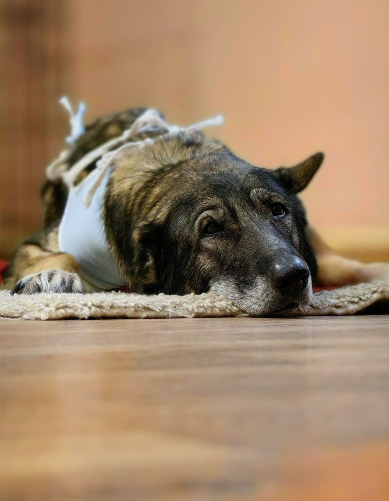 Photograph by Анна