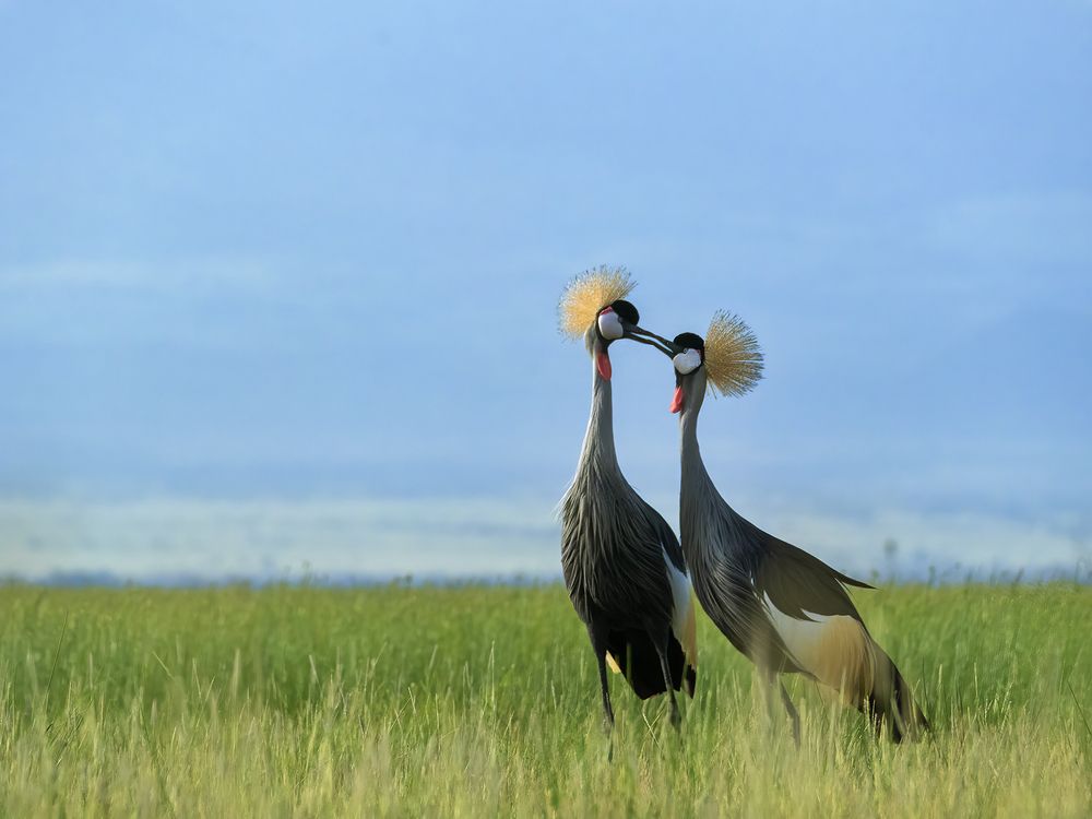Photograph by Karthick Sridharan