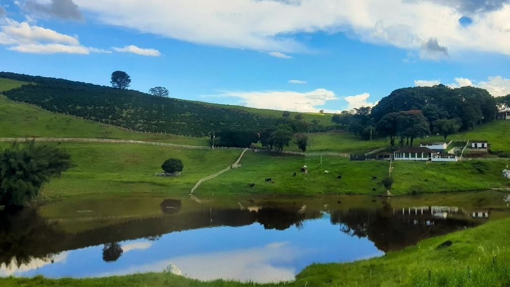 Photograph by adriana menez