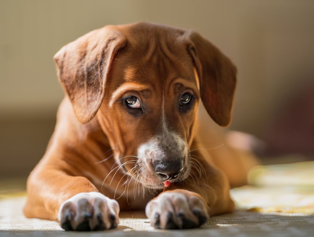 Photograph by Igor Drozdov