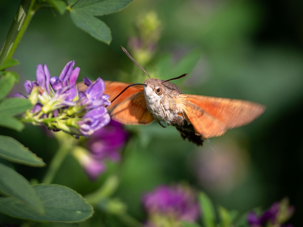 Фотография автора Артур Богородицкий