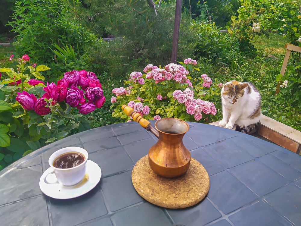 Photograph by Анатолий Мигов