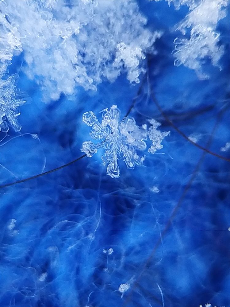 Photograph by Юлия Смирнова