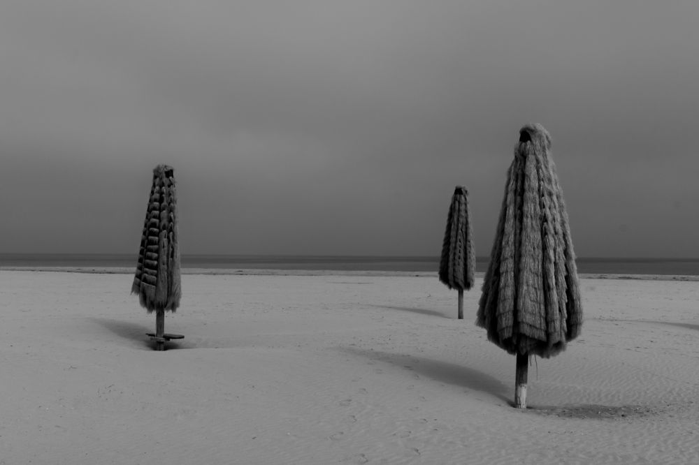 Photograph by Stefano Sthephen