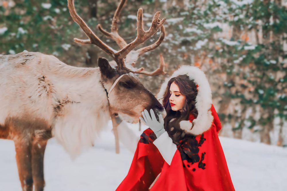 Photograph by Алина Рослякова