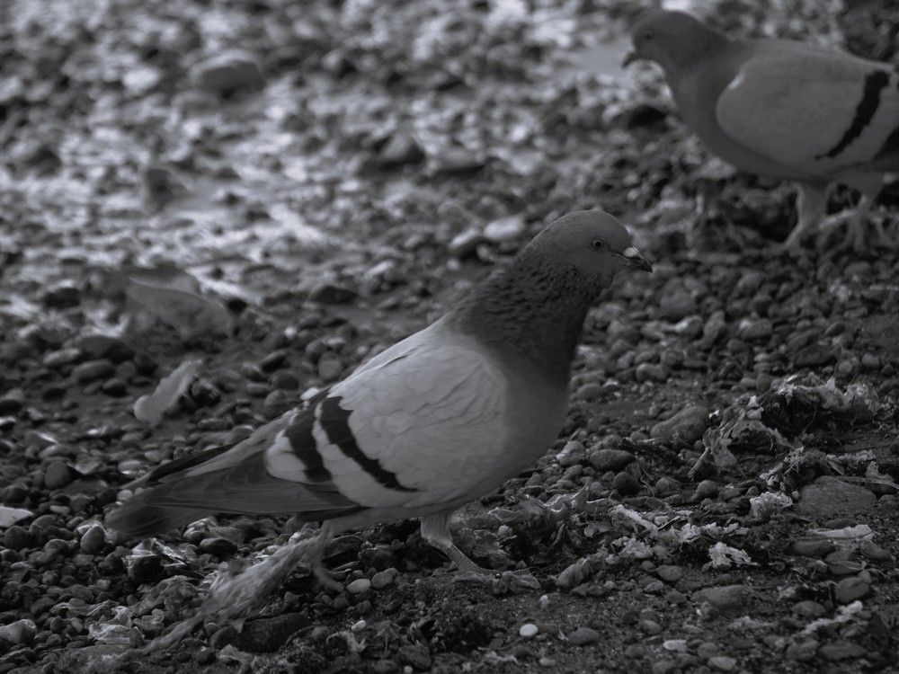 Photograph by Büşra AYANCI