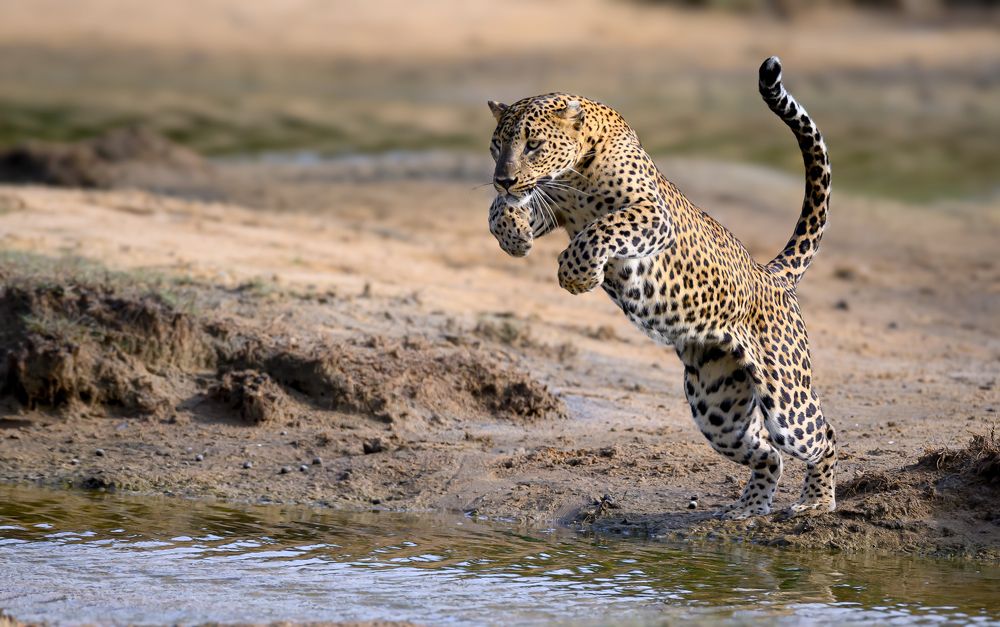 Photograph by Roshana Prasad