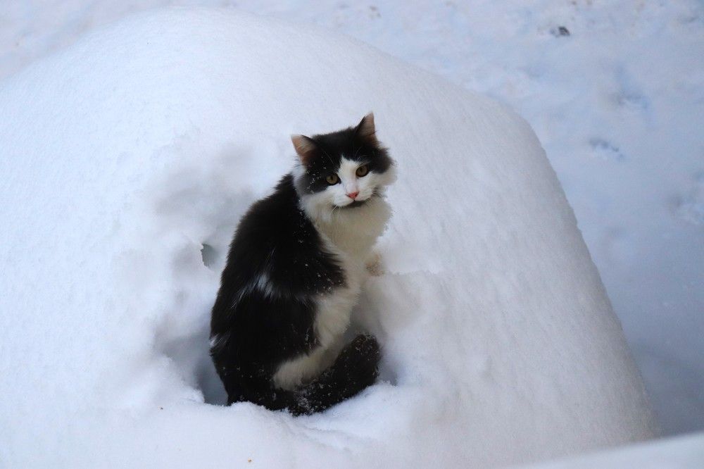 Photograph by Федоренко Элеонора