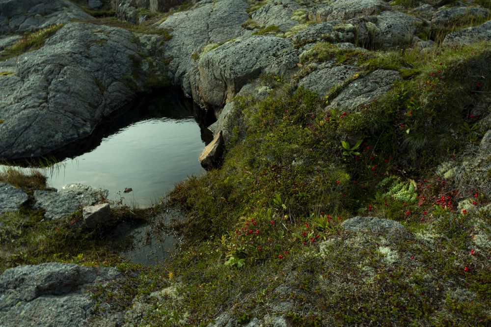 Photograph by Ирина Тихомирова