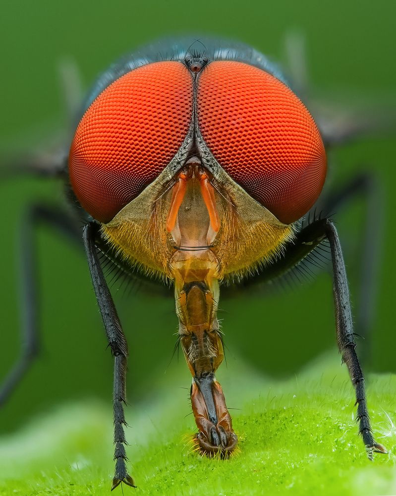 Photograph by Tinh Dang thanh