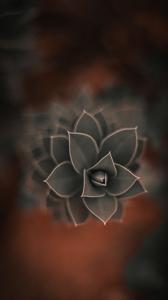 Photograph by Valeria Stepanova