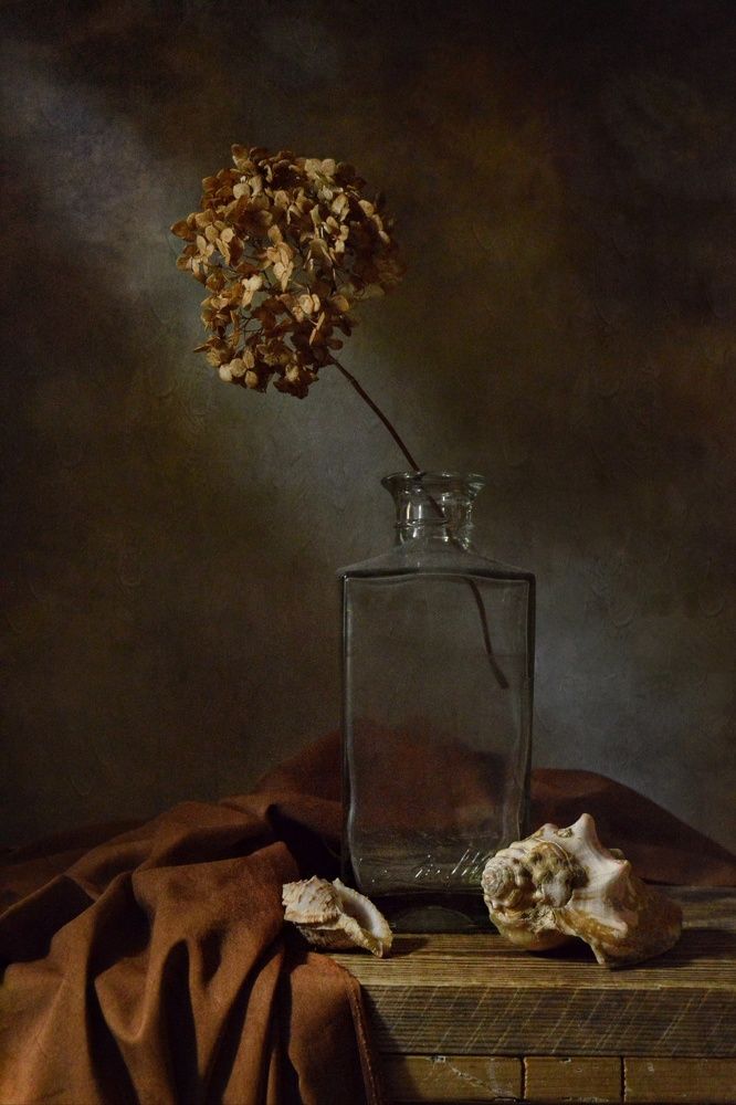 Photograph by Дина Полухина