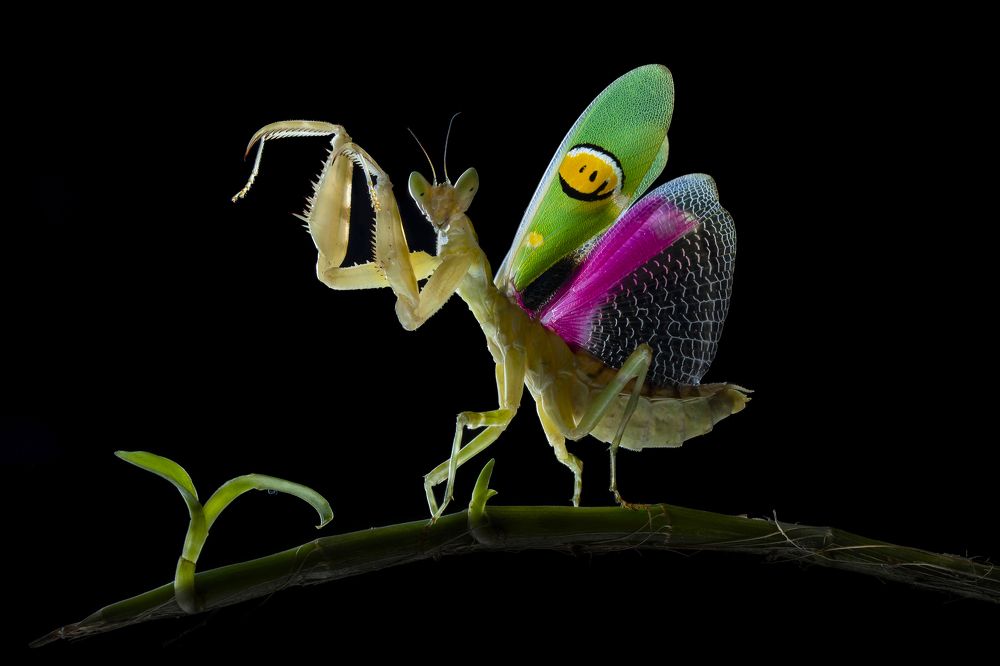 Photograph by Tinh Dang thanh