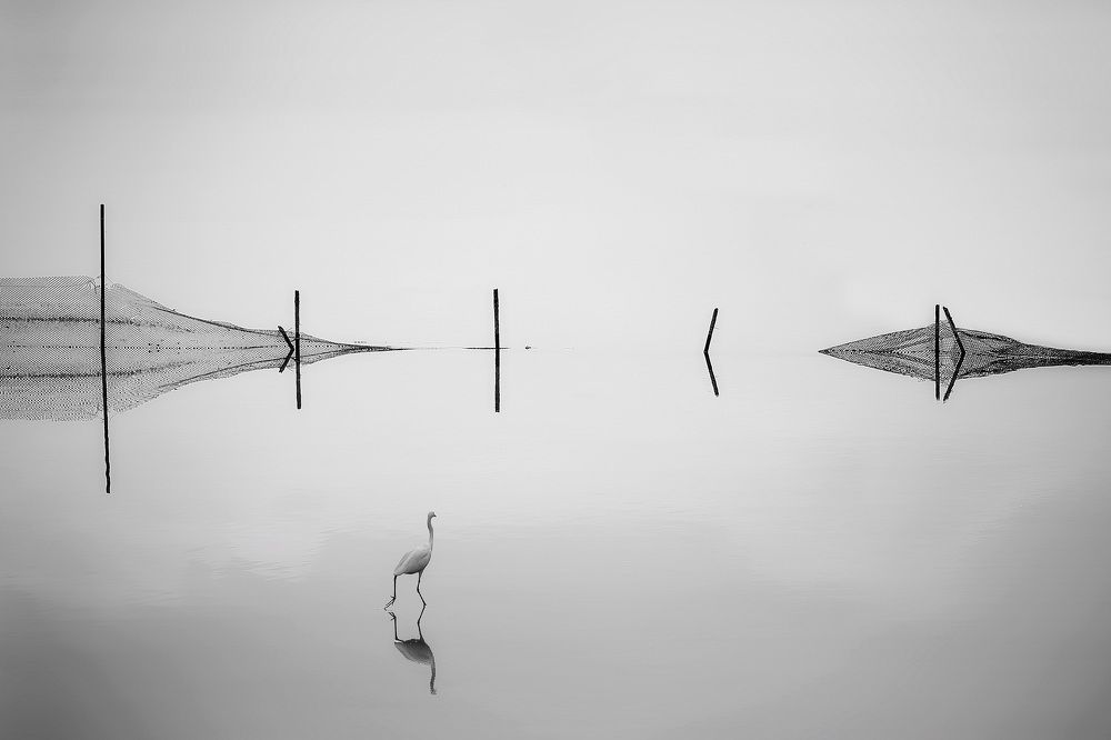 Photograph by MingLun Tsai