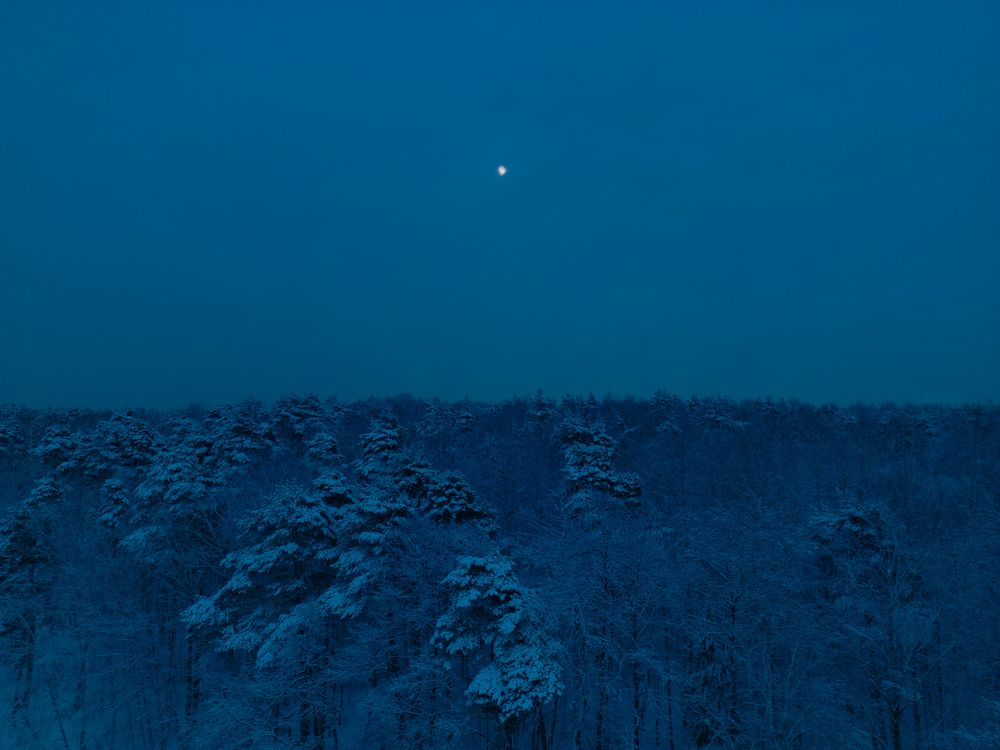 Фотография автора Старых Сергей