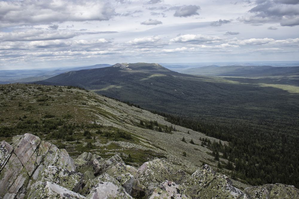 Фотография автора Веста Ягужинская