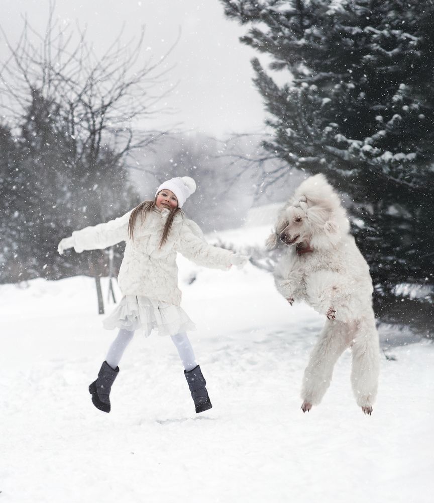 Фотография автора Ольга Клипина