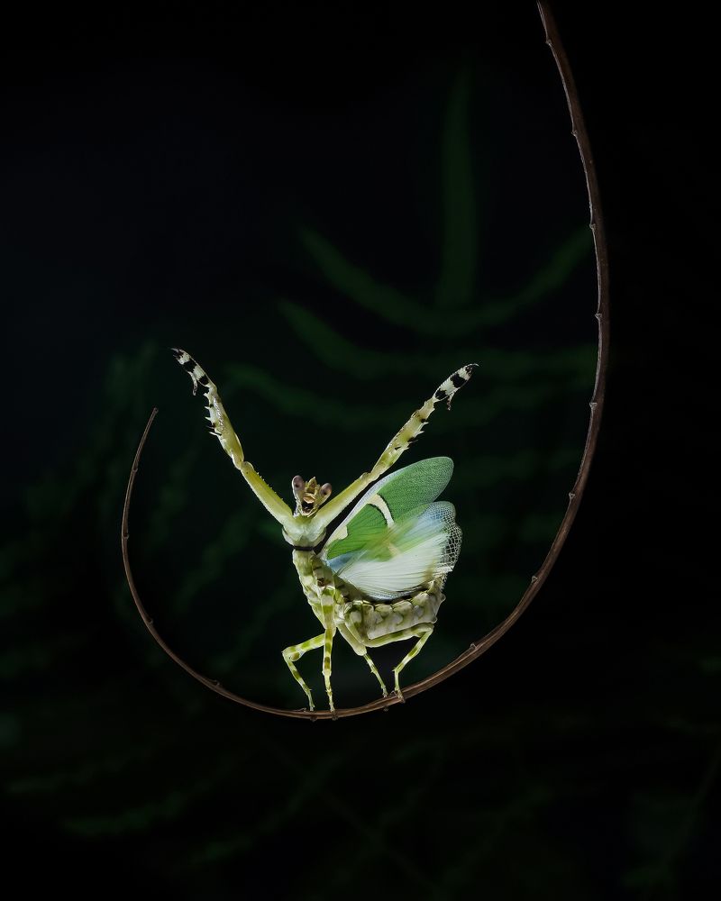 Photograph by Tinh Dang thanh