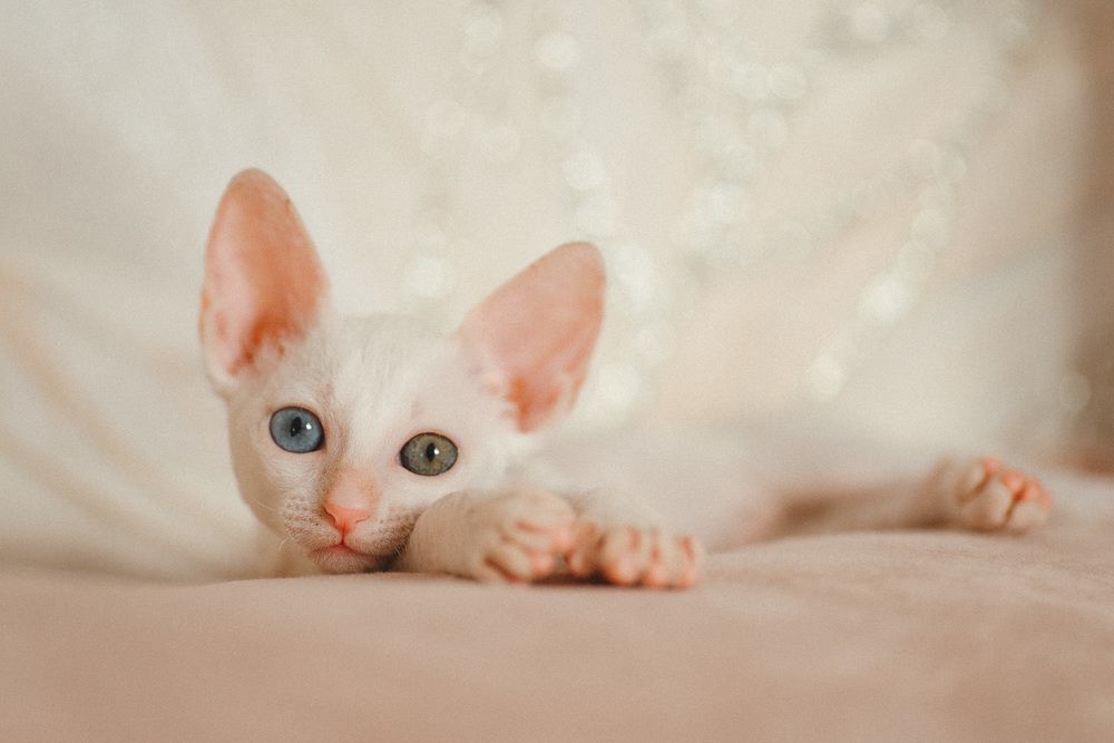 Photograph by Анна Бобкова