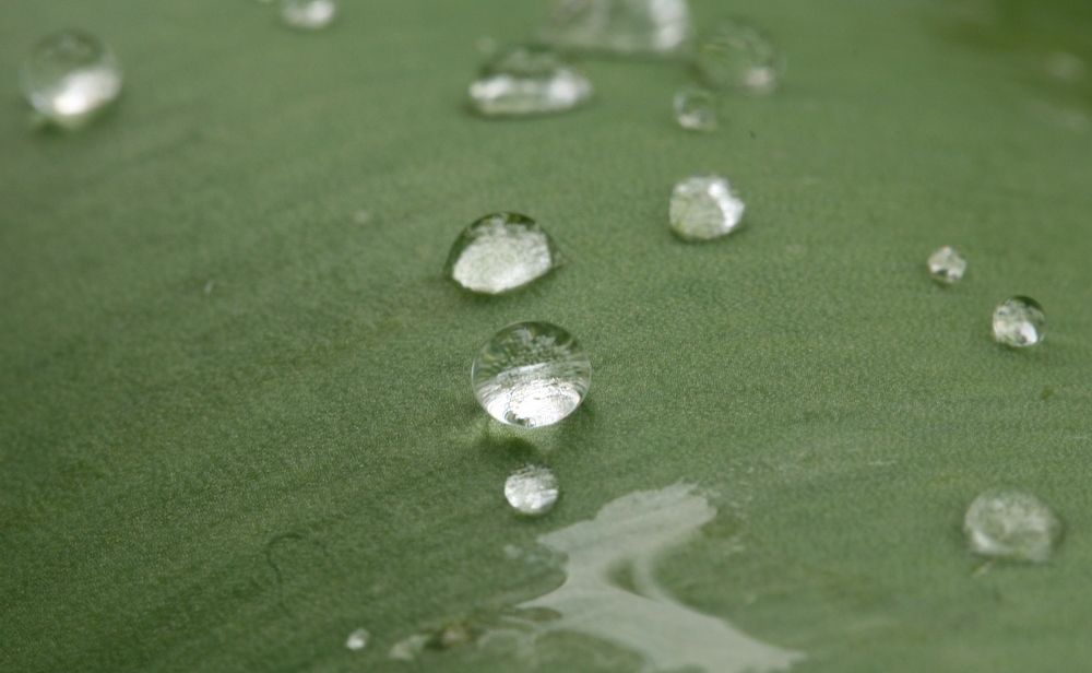 Photograph by Иван Левин