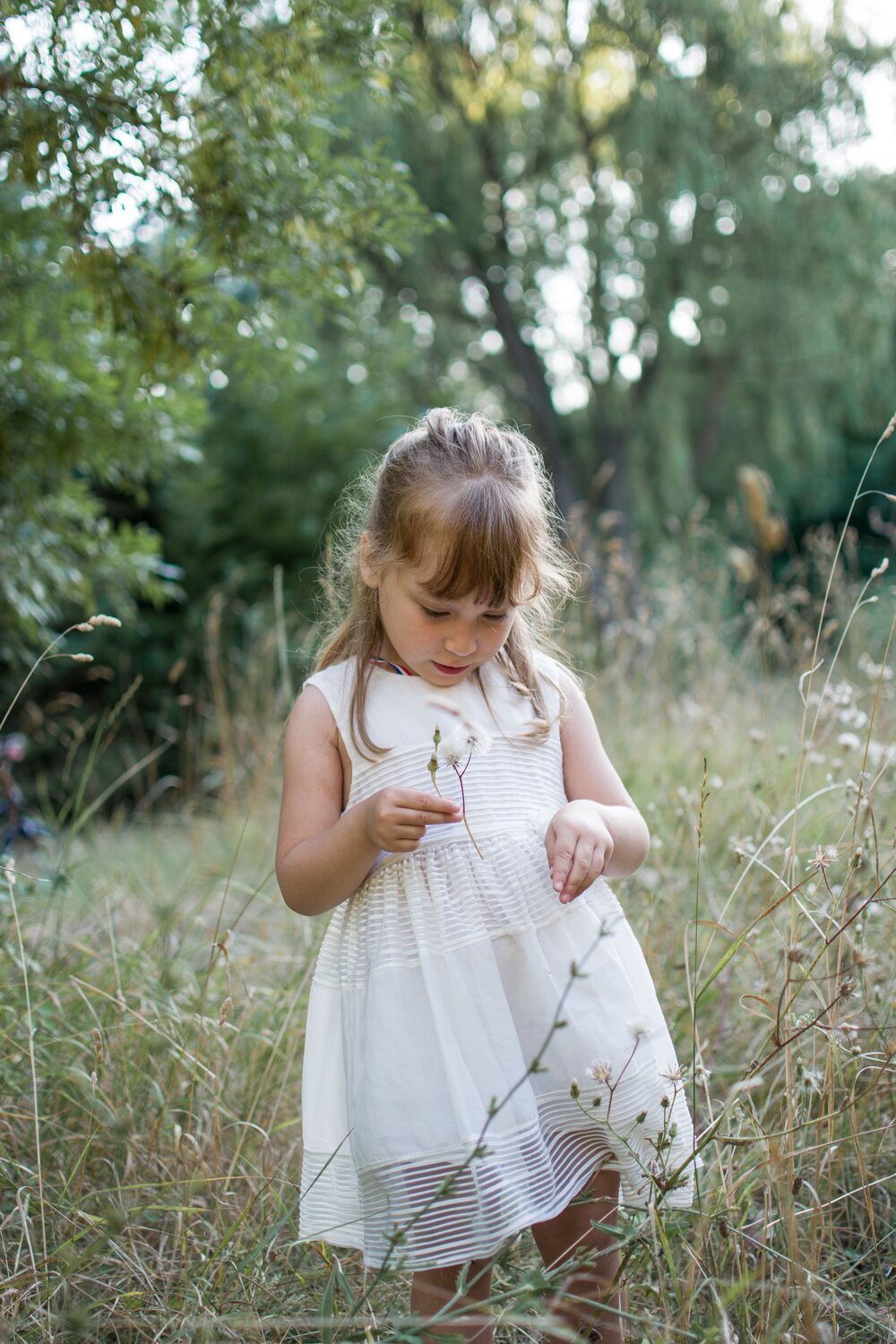 Photo #10386451