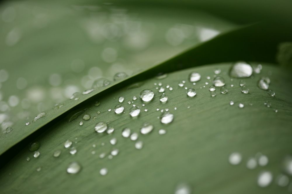 Photograph by Иван Левин