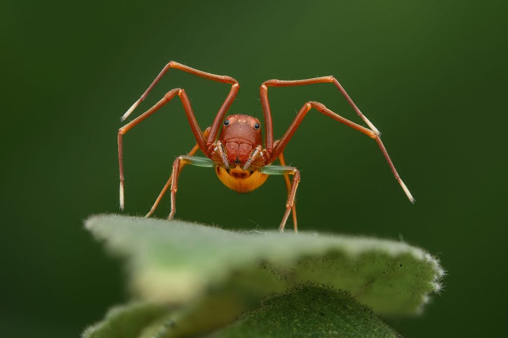 Photograph by Tinh Dang thanh