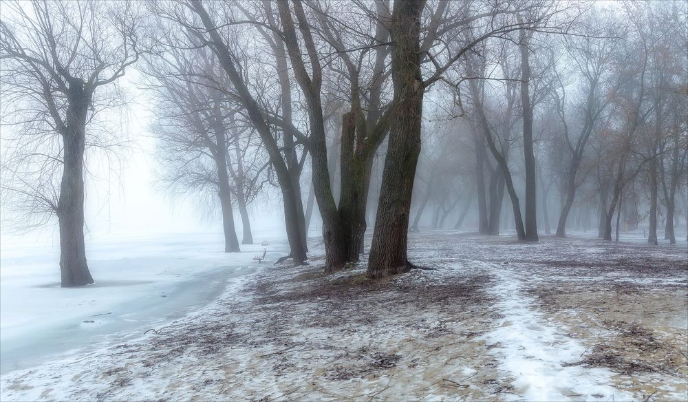 УТРО ПОГЛОТИЛ ТУМАН