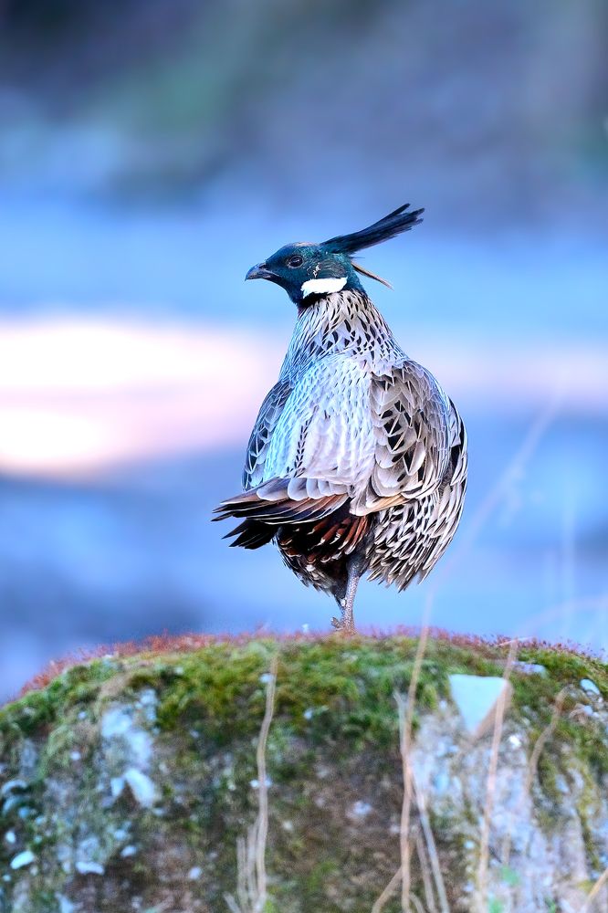 Фотография автора Abhay Kewat