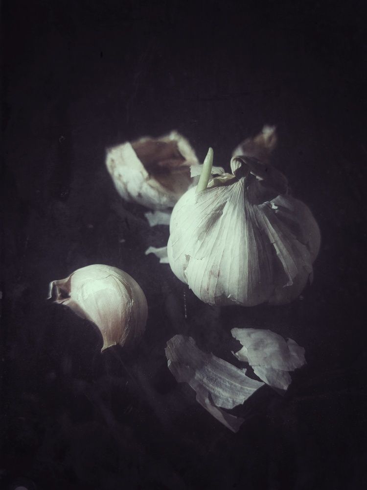 Photograph by Елена Кирикова