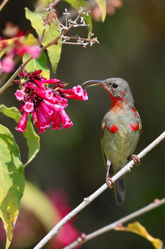 Фотография автора Abhay Kewat